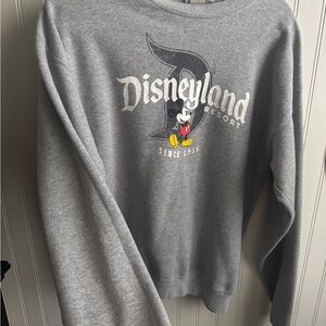 Disney Gray Sweatshirt with Logo